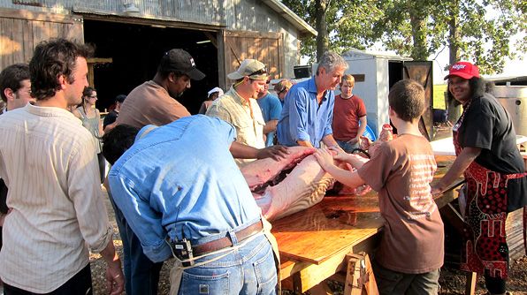 在嘉郡(Cajun Country)的屠夫們熟練迅速地處理豬肉體, via travelchannel.com