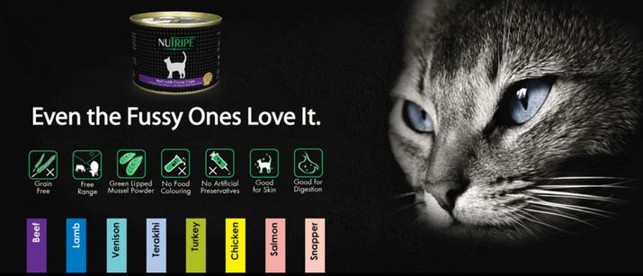 Nutripe紐萃寶官網超殺的貓罐宣傳圖
